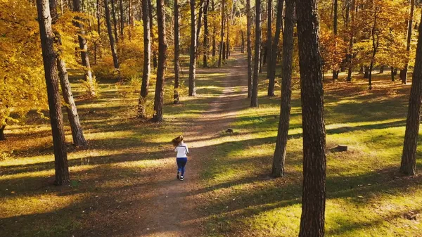 Preview thumbnail for The Best Small Towns to Celebrate Fall