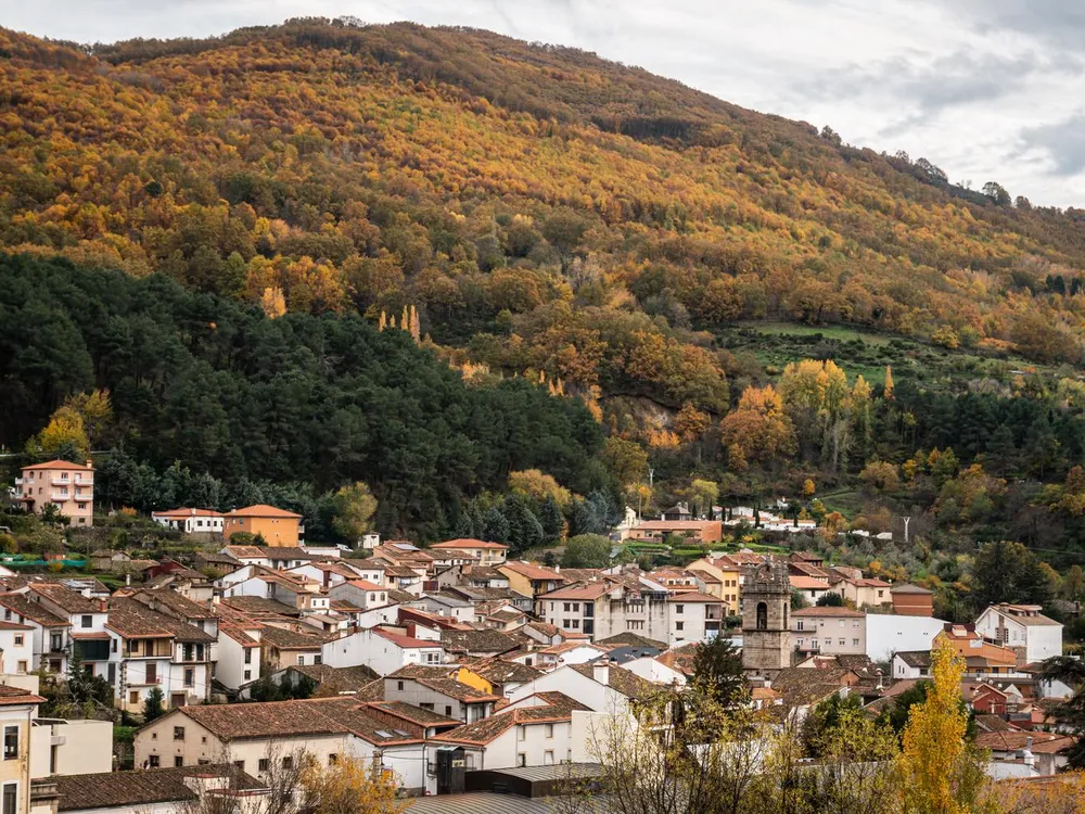 Hillside covered with trees overlooking a village