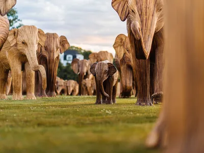 The elephants are spending the summer in Newport, Rhode Island, before making their way to the Meatpacking District in New York City this fall.