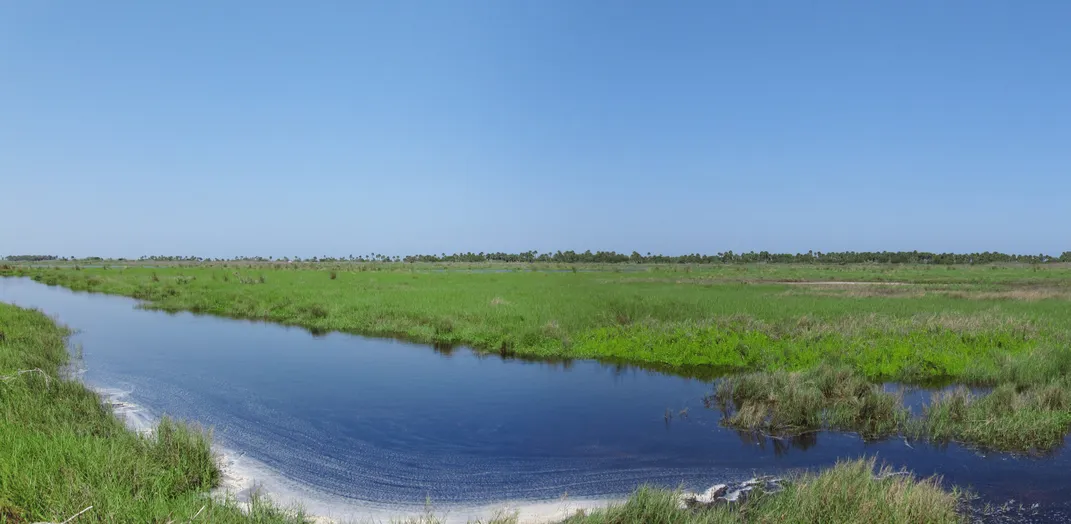 A winding blue river runs through a green wetland with low-lying grass