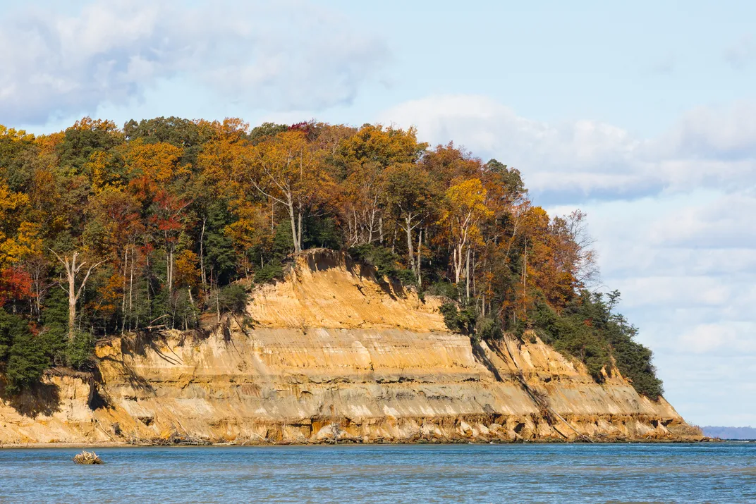 Calvert Cliffs