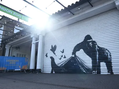 The last animal-themed mural in Banksy&#39;s series appeared on an entrance to the London Zoo.