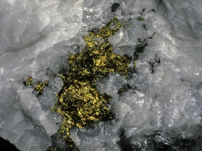 When earthquakes squeeze quartz crystals, the mineral generates electricity that attracts gold particles.