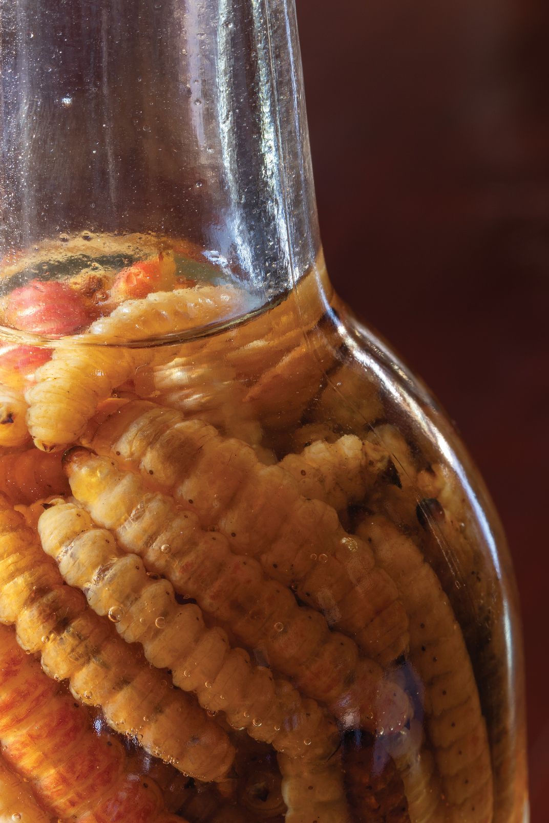 Alcohol-cured caterpillars known as maguey worms, to be added to individual bottles for their flavor